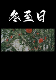 冬至日遇京使发寄舍弟鉴赏