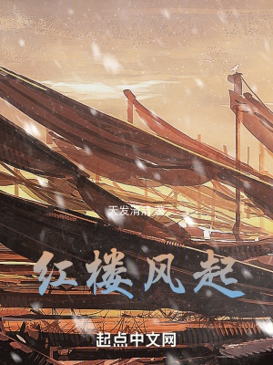 红楼风格汉服发型